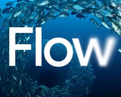 flow google flow editor google flow editor